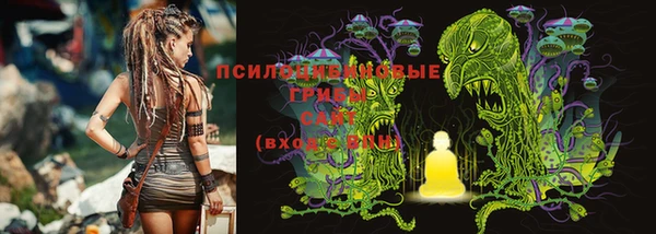 соль ск Алексеевка