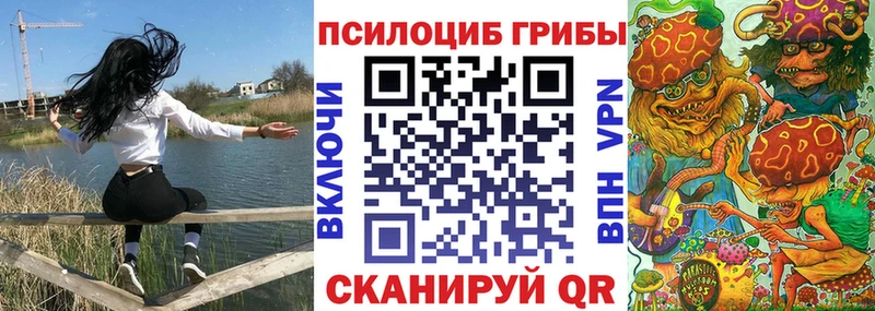 Псилоцибиновые грибы Psilocybine cubensis  сколько стоит  Биробиджан 