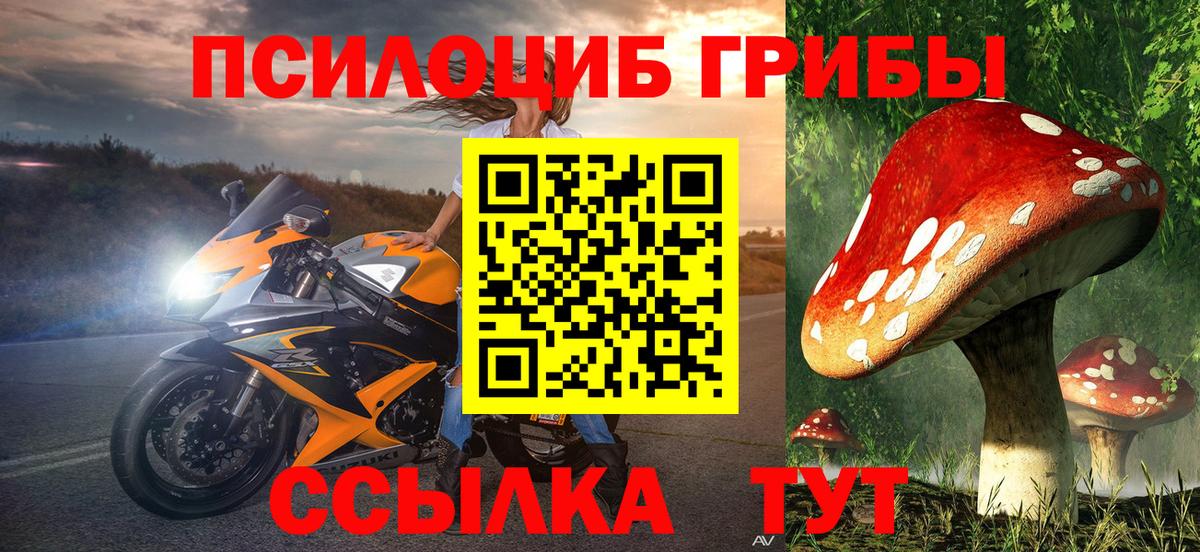 Псилоцибиновые грибы мицелий Биробиджан