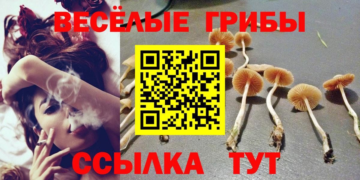 Биробиджан  Галлюциногенные грибы мухоморы  Вход с VPN 