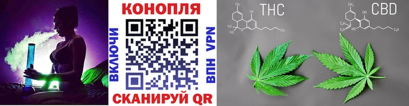 Шишки марихуана LSD WEED цены Биробиджан